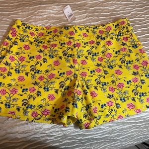 NWT Loft Womens Shorts Size 10